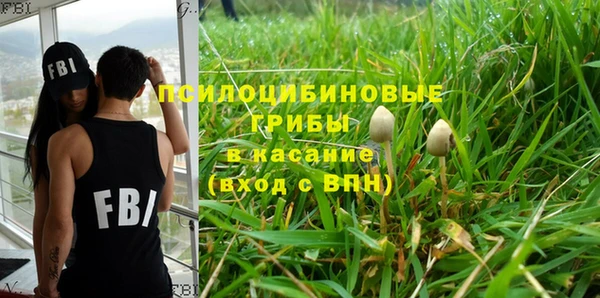стаф Вяземский