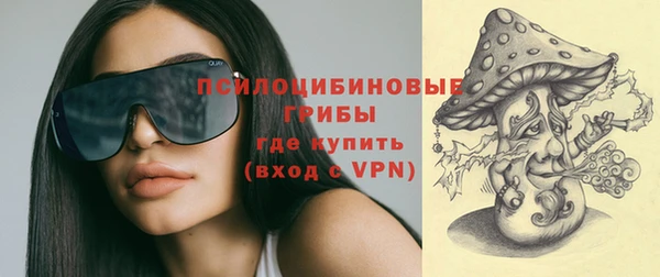стаф Вяземский