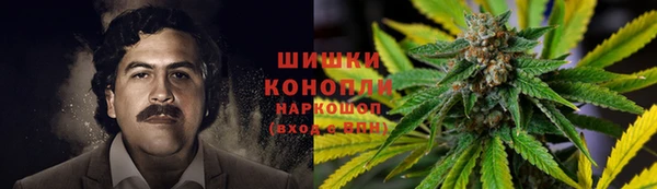 хмурый Горняк