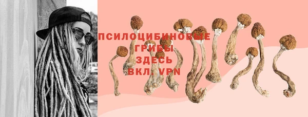 хмурый Горняк