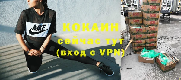 стаф Вяземский