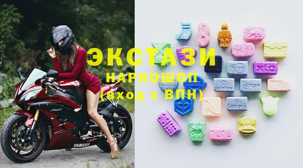 стаф Вяземский
