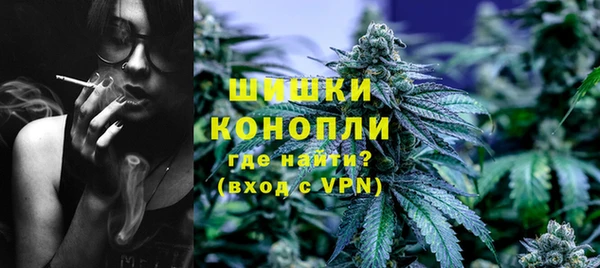 стаф Вяземский