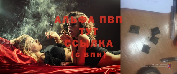 хмурый Горняк