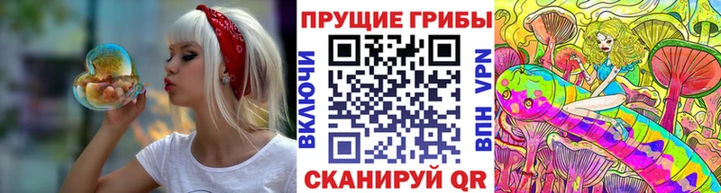 Галлюциногенные грибы MAGIC MUSHROOMS  Купить закладки  Полярные Зори 